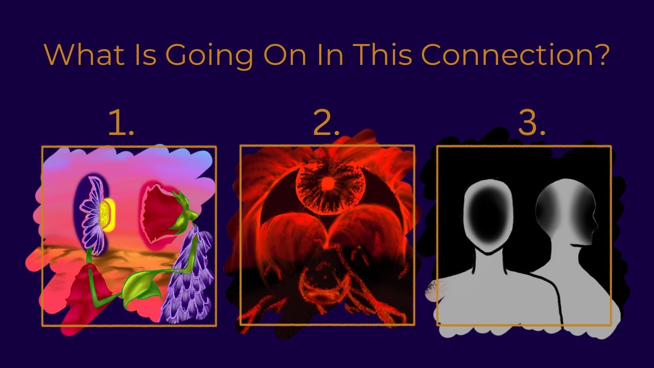 Pick A Card - What Is Going On In This Connection