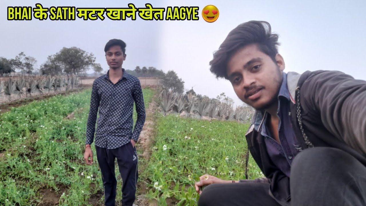 Bhai के sath मटर खाने खेत aagye 😍 #vlog