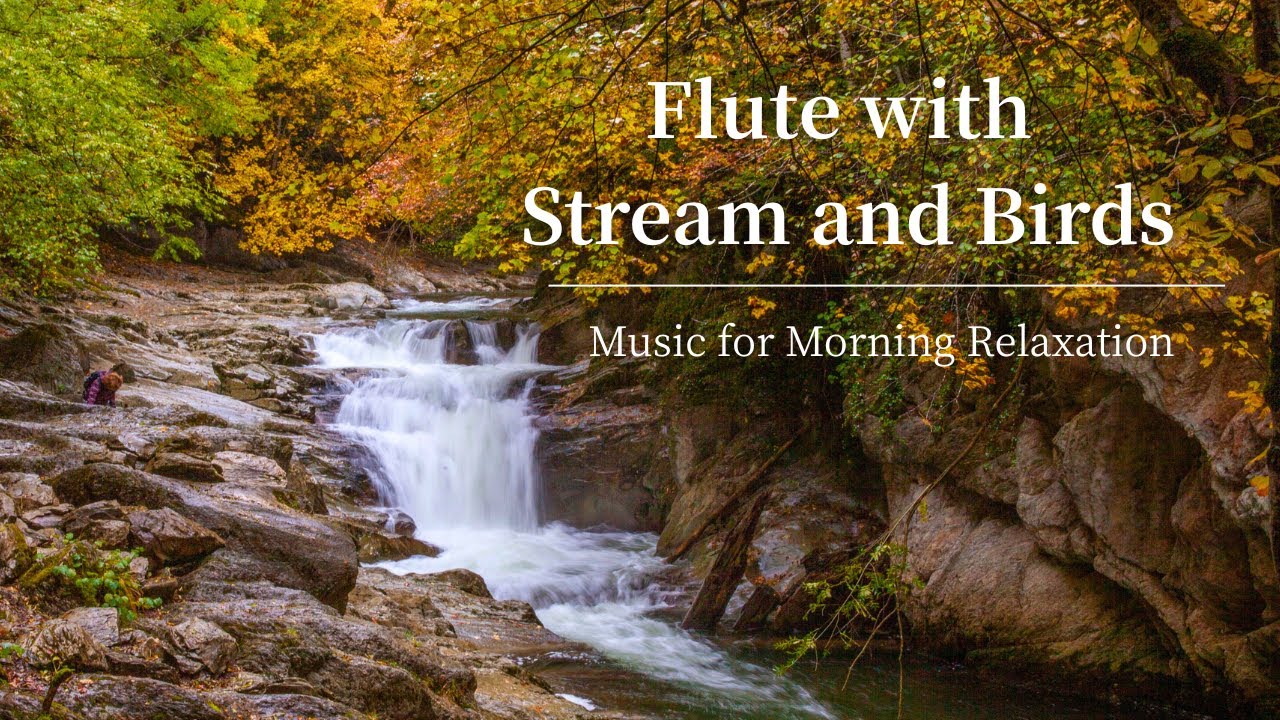 Flute with Gentle Stream and Birdsong | Sleep, Relax, | Chanson de Matin ｰ Elgar