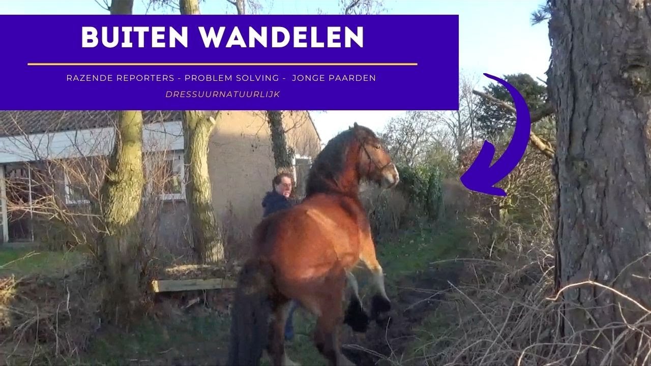 Razende reporters | problem solving | jonge paarden | afl. #1