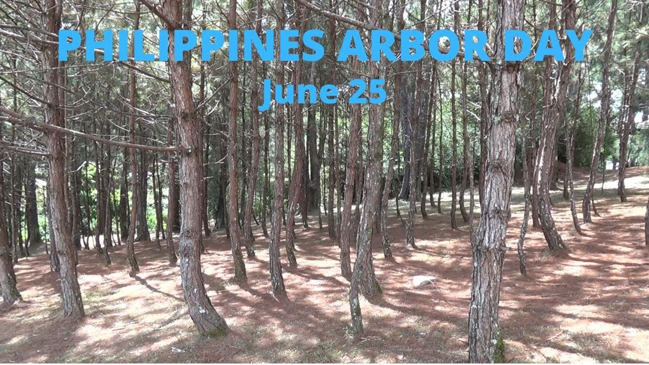 PHILIPPINES ARBOR DAY_JUNE 25_PLANT A TREE TODAY