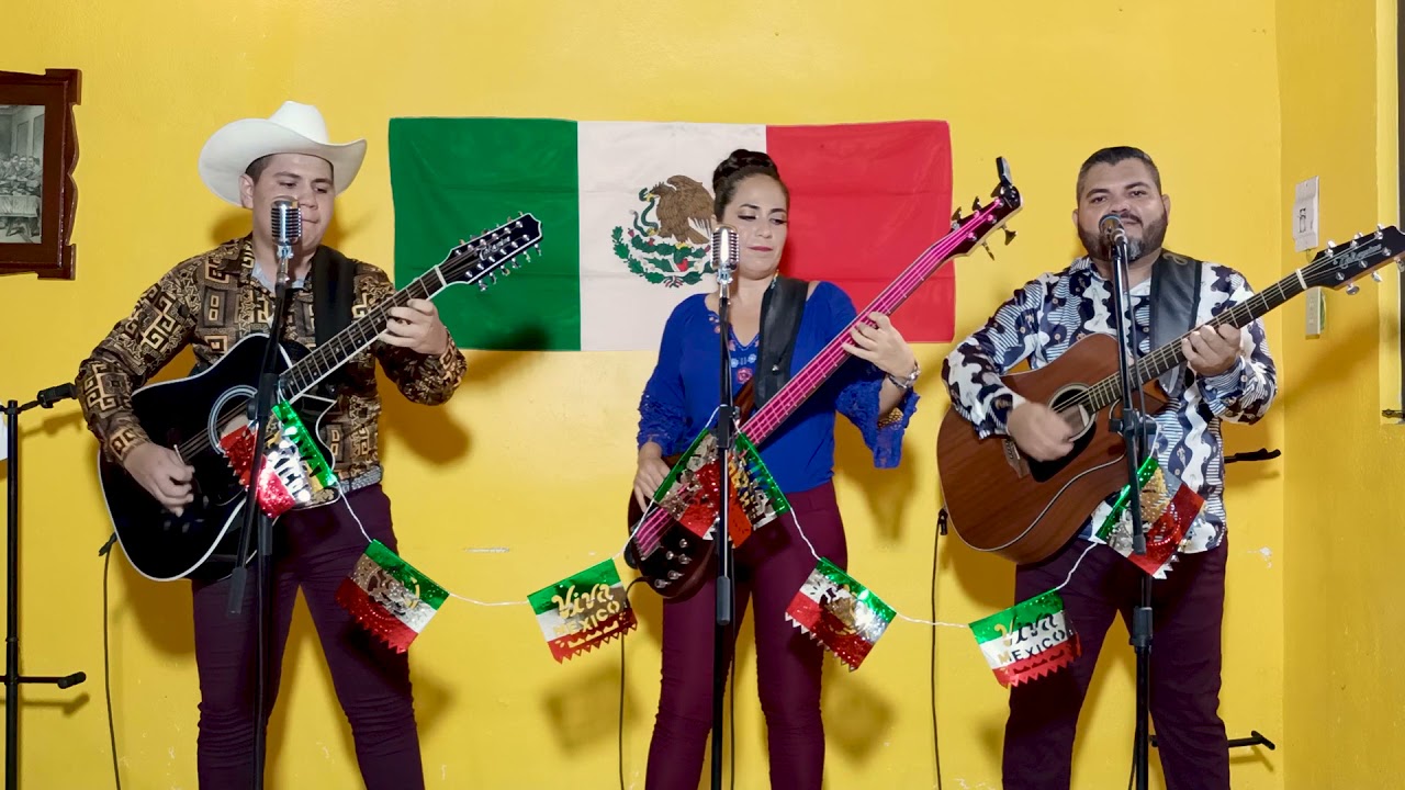 Los dos amigos ( En Vivo)