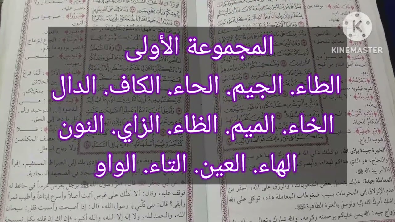 #خيرة الامام علي عليه السلام لسنة2026 تشمل العزاب المتزوجين المرتبطين المنفصلين مطلقين مظبوطة 100%