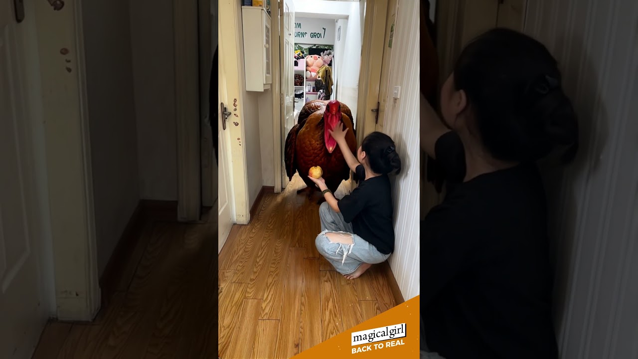 Summons a giant turkey #turkey  #ai #funny #aiart #pets #videoshort #aivideo #cute