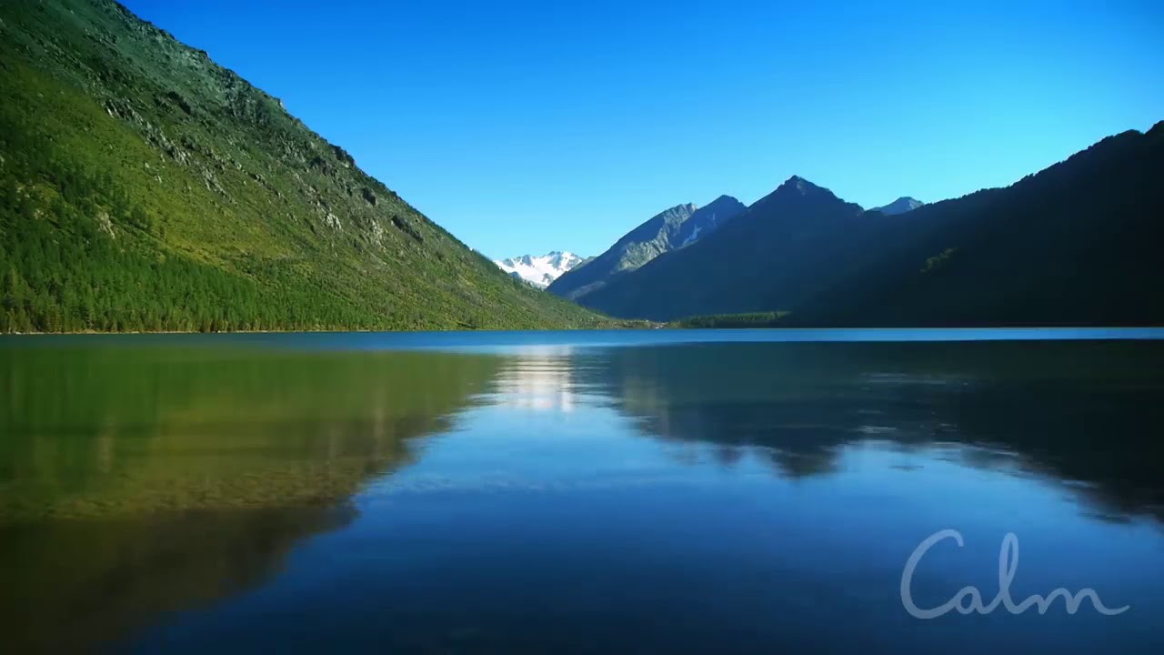 Daily Calm   10 Minute Mindfulness Meditation   Be Present