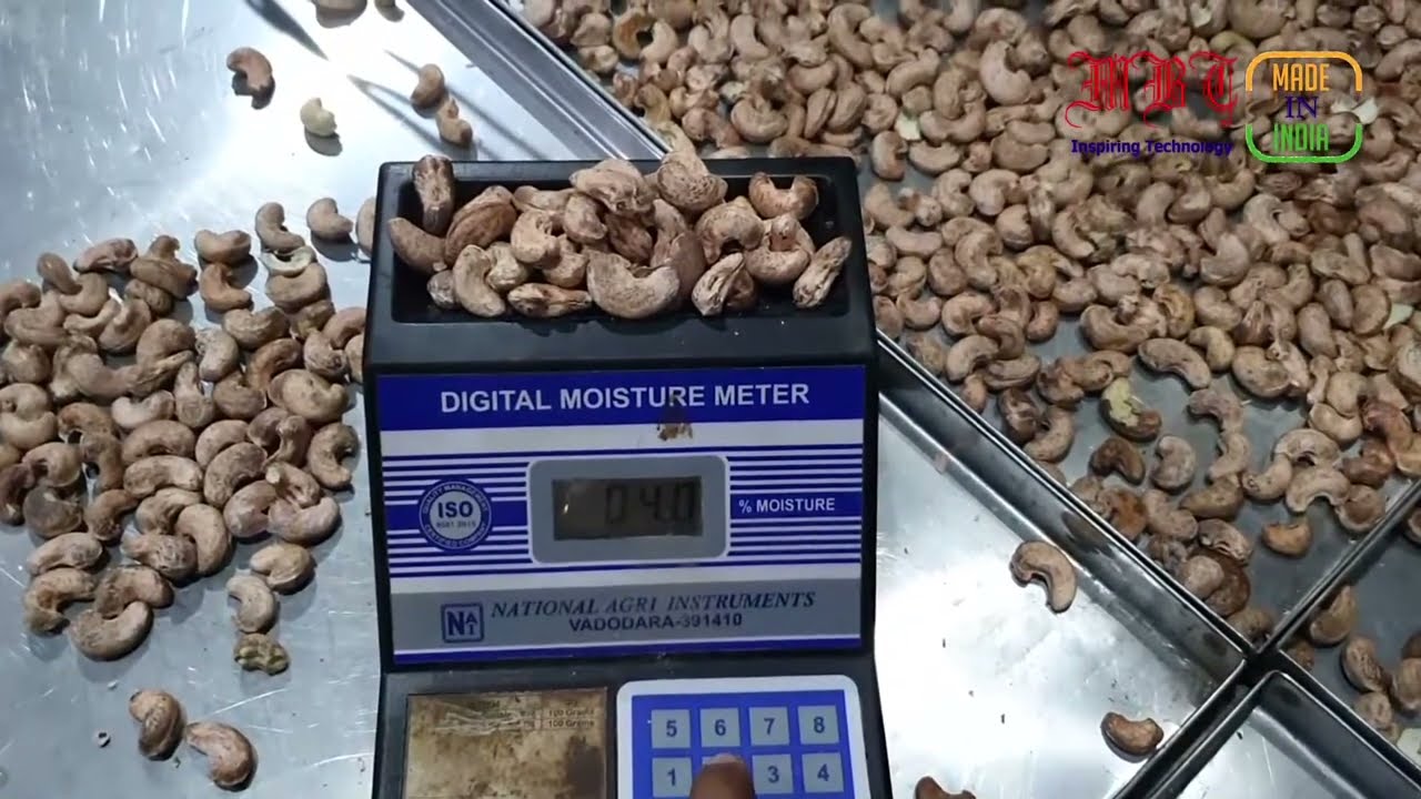 Continuous Cashew Dryer for NW Cashew Nuts By Mahatma Brijmohan Technicals, India