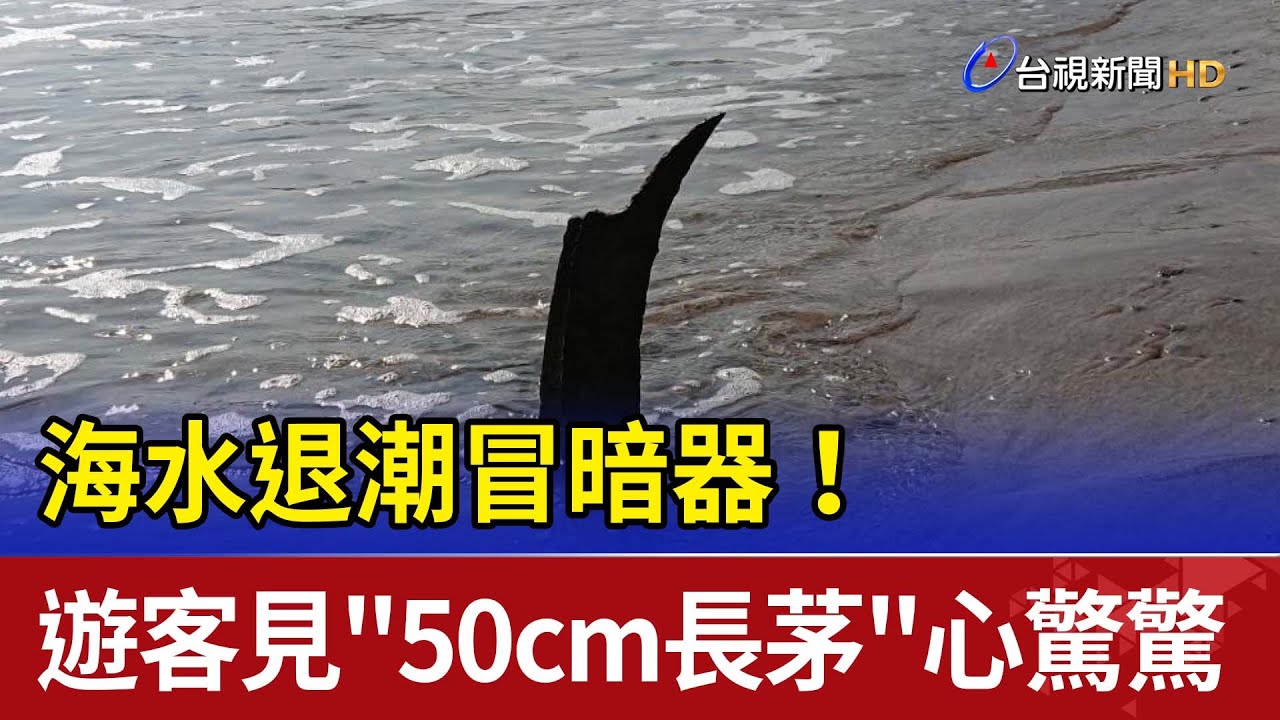 海水退潮冒暗器！遊客見