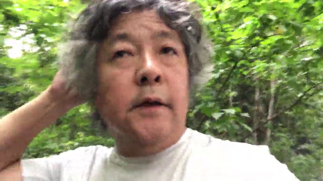 Where should the Japan government should GoTo