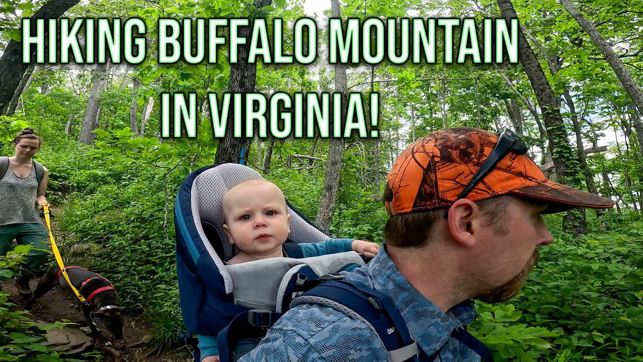 2025 Buffalo Mountain Hike with Emmett and Luna