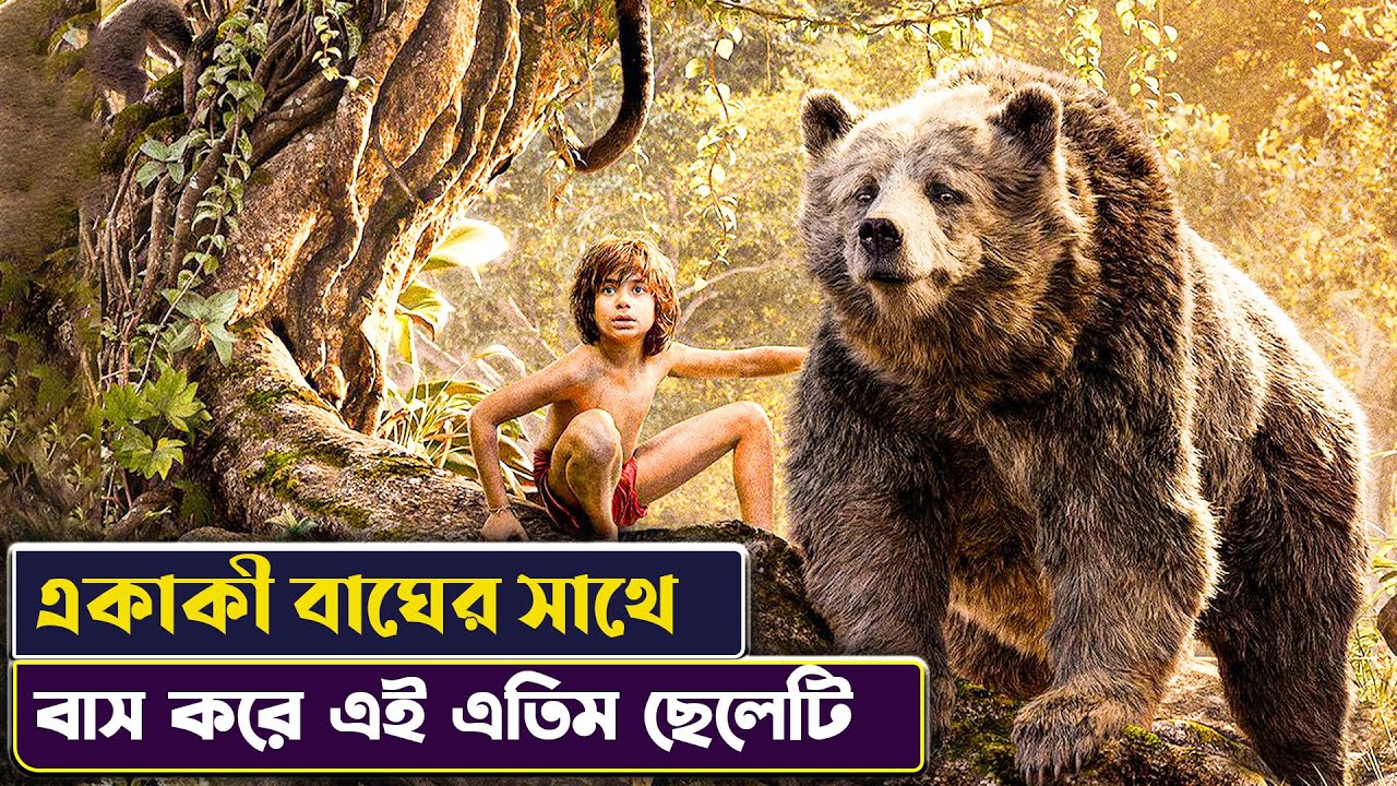এতিম বাচ্চাটি বনে প্রাণিদের সাথে বাস করে 😳 the jungle book Movie Explained in Bangla | Cinemon