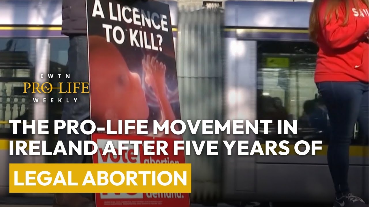 The Pro-Life Movement in Ireland after Five Years of Legal Abortion