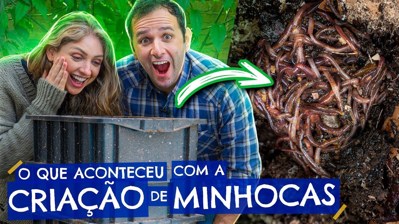 O que aconteceu com a CRIAÇÃO de MINHOCAS?