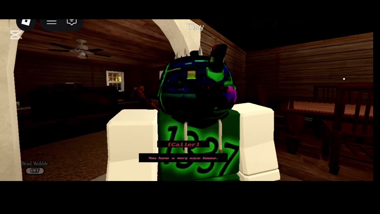 Playing one of the firghting games known to roboxia(i think)
