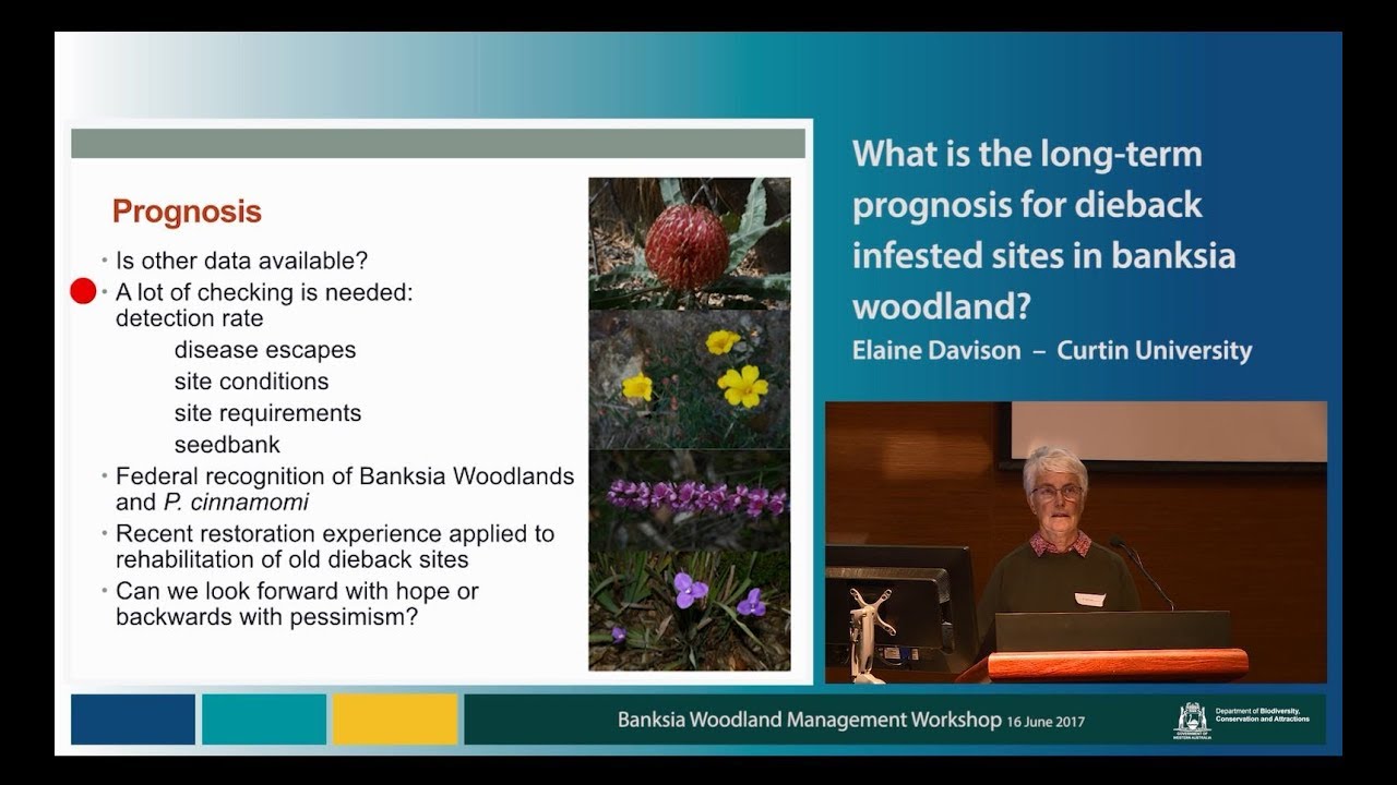 Elaine Davison &ndash; What is the long-term prognosis for dieback infested sites in Banksia Woodland?