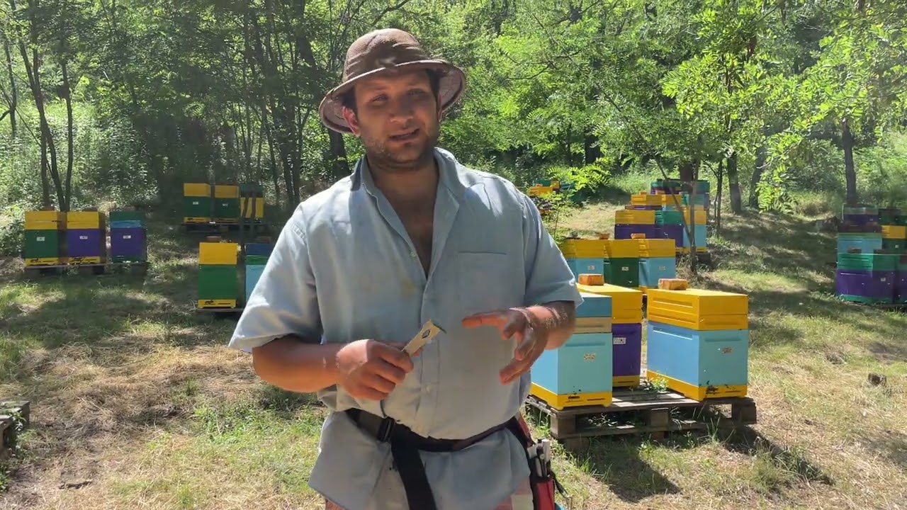 Cum se prezintă roii făcuți pe 9 mai . Care este scopul lor ???