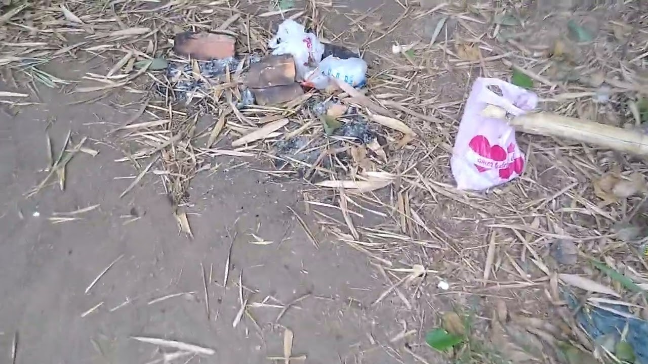 pesca de estilingue saiu sinco cuatro dinossauro um apalhari rio Atibaia mericana