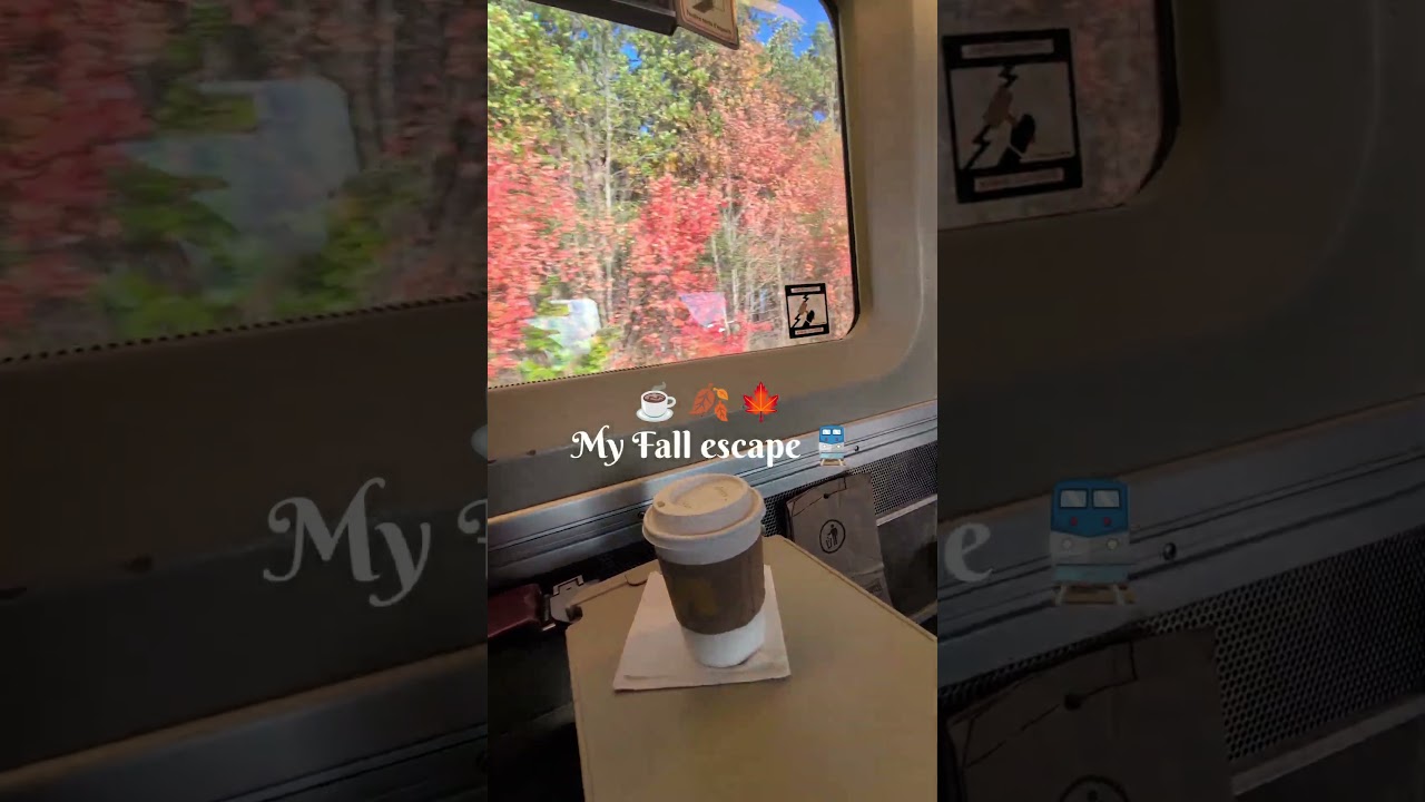 VIA Rail Toronto to Ottawa | Fall Train Ride 🍁🚆🇨🇦🎃#canadatravel #discoveringcanada #autumn #cozy