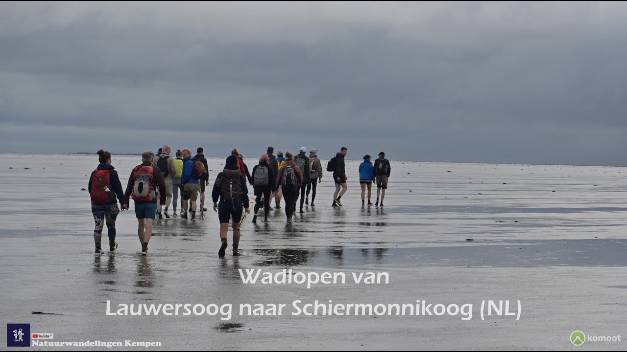 Wadlopen naar Schiermonnikoog