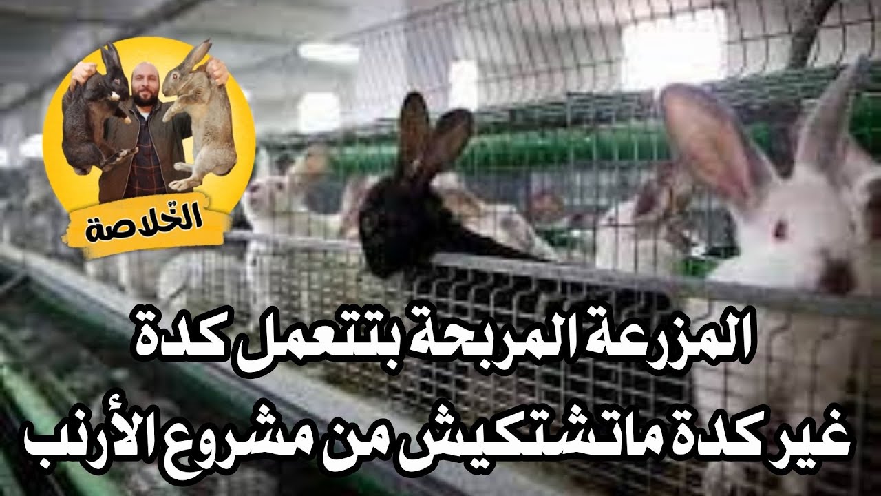 المزرعة المربحة بتتعمل كدة ... غير كدة ماتشتكيش من مشروع الارنب