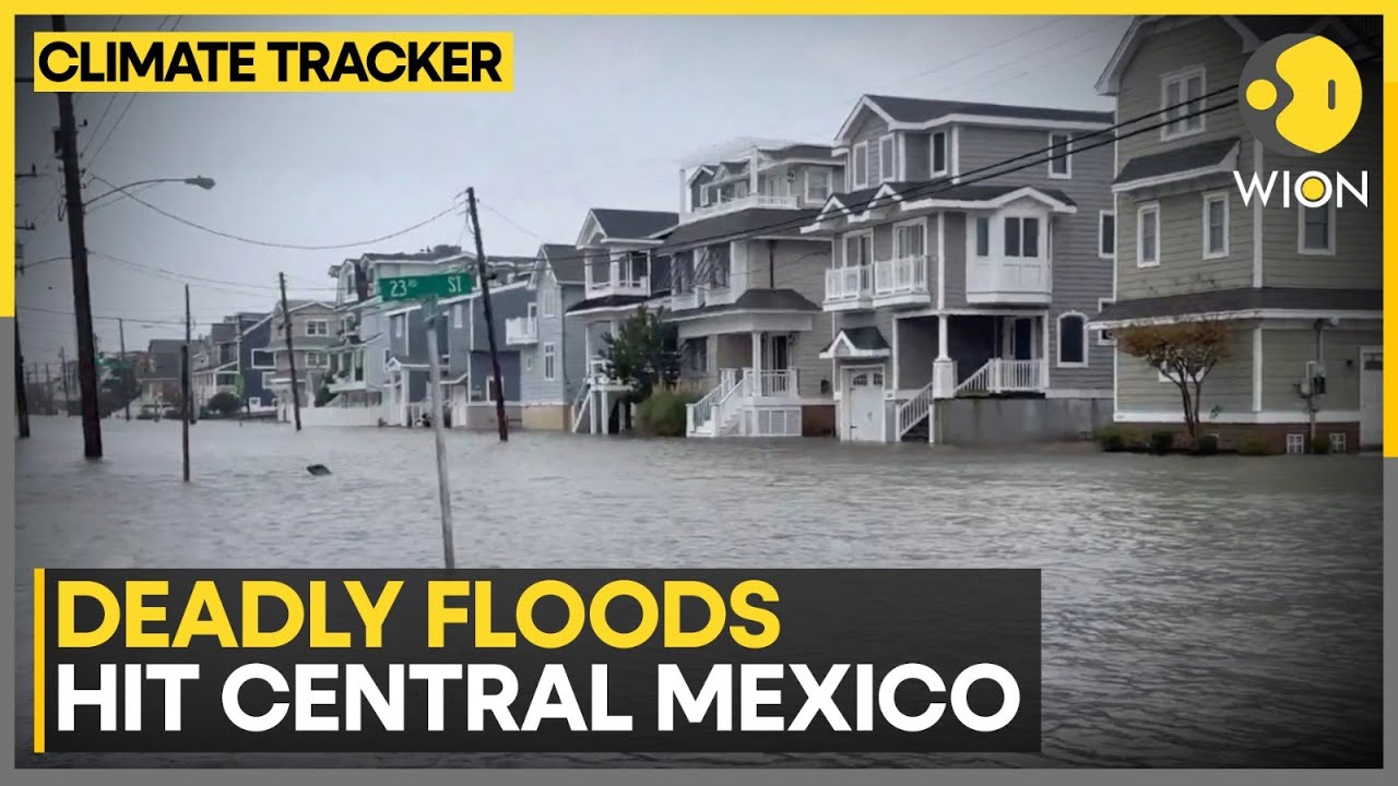Наводнения в Мексике унесли жизни и привели к пропаже 130 человек | WION CLIMATE TRACKER