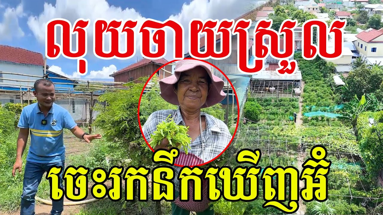លុយចាយស្រួល ចេះរកនឹកឃើញអ៊ំ ងាយប្រមូលផលចំណូលរាល់ថ្ងៃ