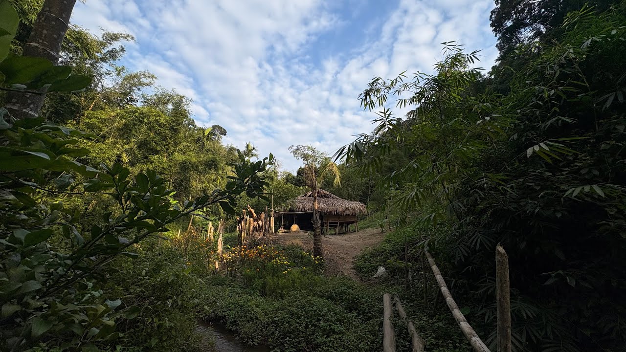 นอน￼￼บ้านกะเหรี่ยงกลางป่าใหญ่ ในประเทศพม่า ￼.. ทุกอย่างที่นี่ล้อมรอบด้วยธรรมชาติ ￼