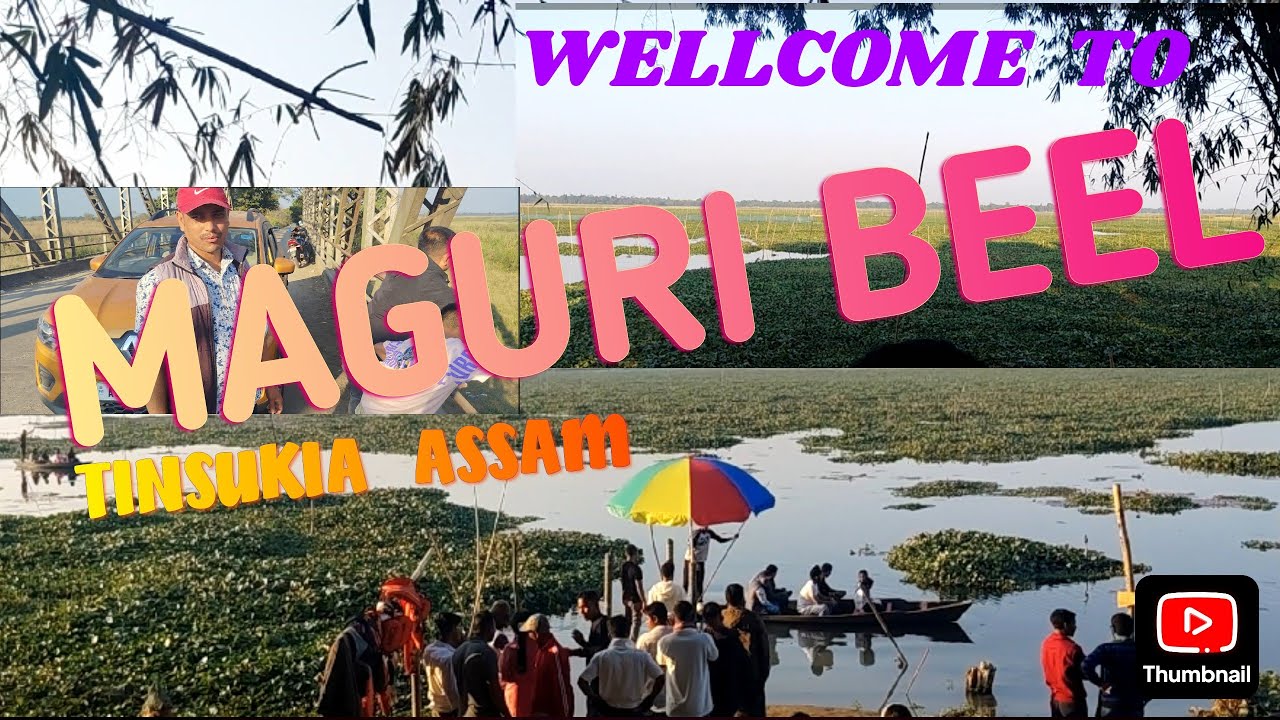 MAGURI BEEL || TINSUKIA || BIRDS WATCHER  || BAREKURI  || TULIP FLOWER || तिसुकीया  बारेकुरी 