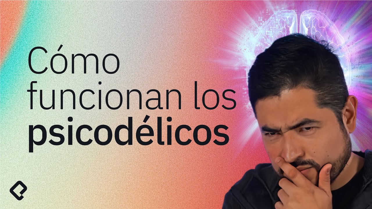 Cómo funcionan los psicodélicos y qué riesgos tienen
