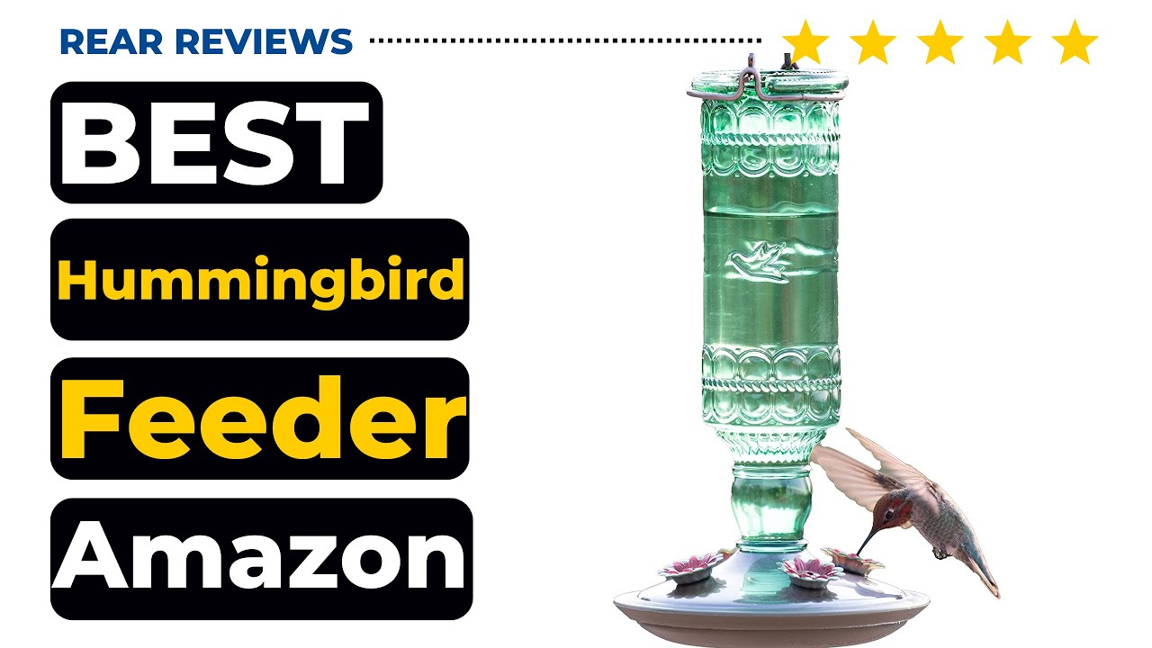 Best Hummingbird Feeder Amazon In 2022 🌻 Top 5 Picks For Any Budget