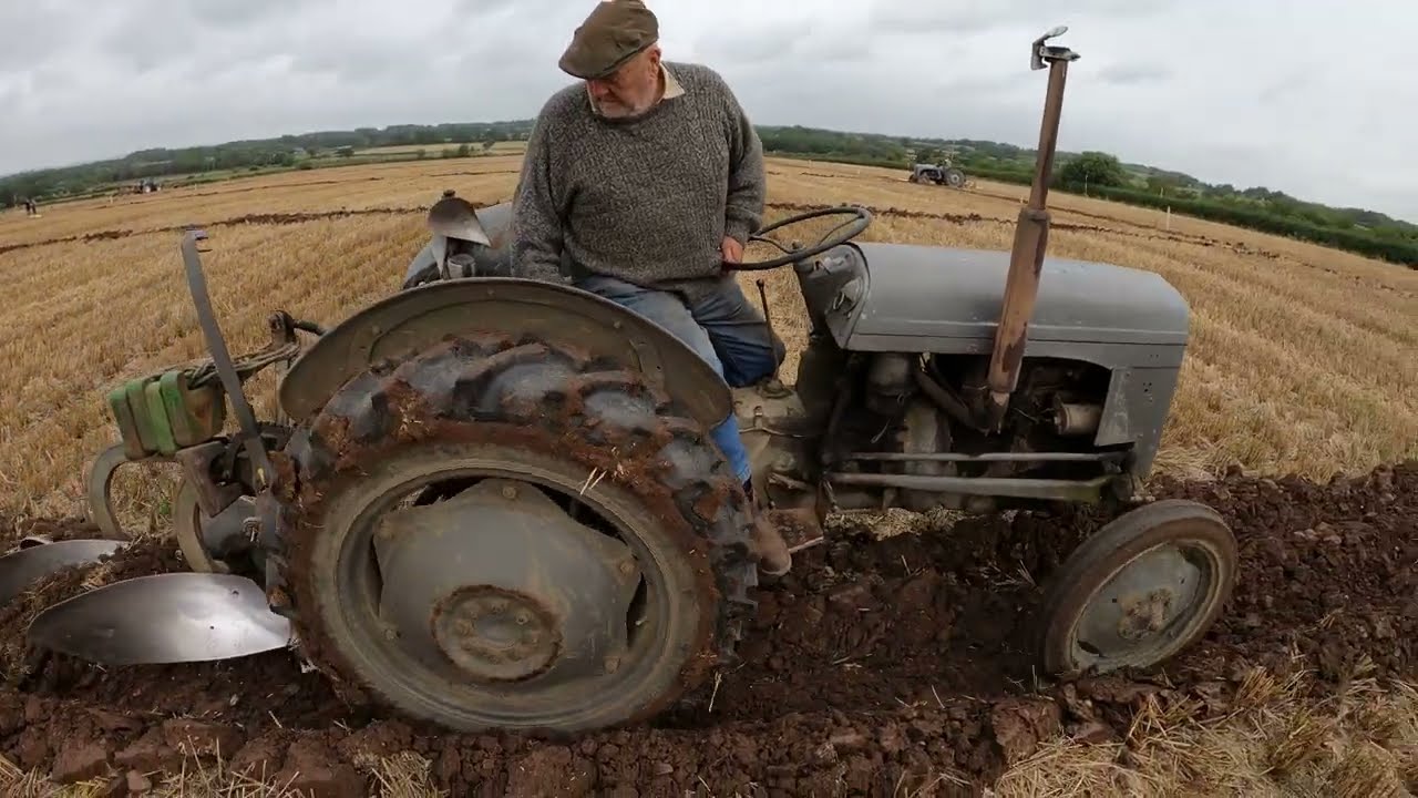1955 Ferguson TED20 2.1 LItre 4-Cyl Petrol TVO Tractor (26 HP) With Ferguson Plough