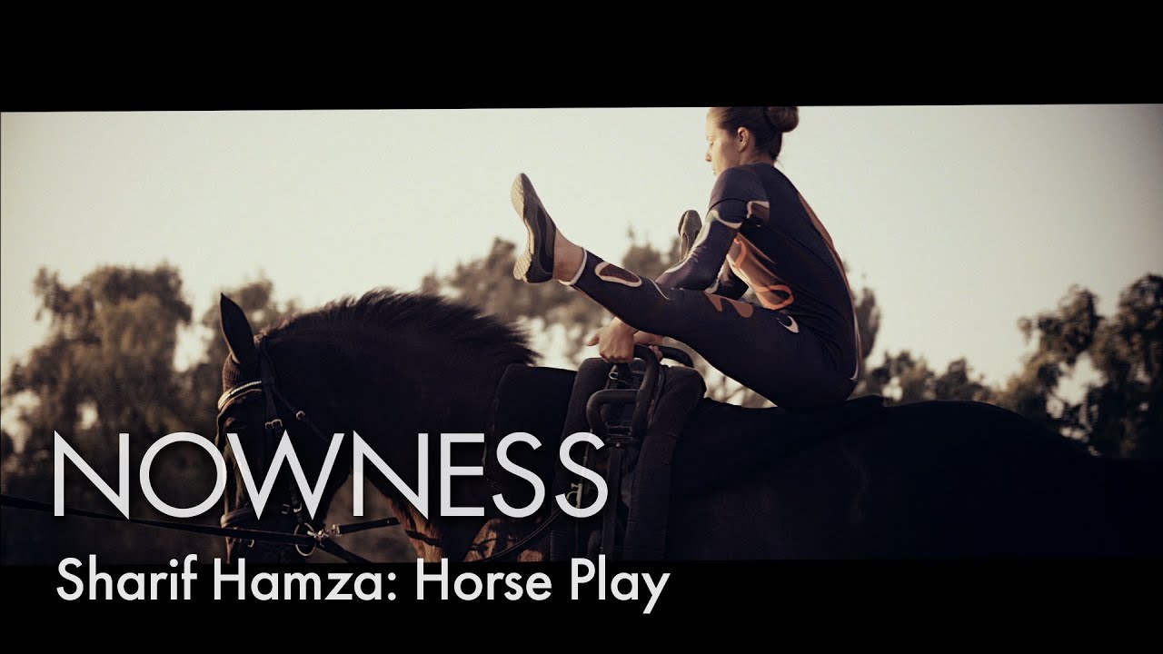 Equestrian Vaulting:  Capturing the beauty and elegance of the sport