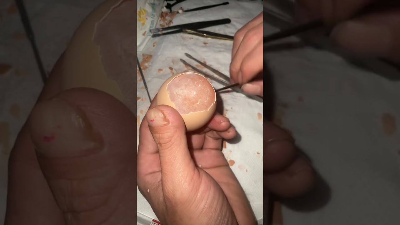 Raw egg peeling challenge : perfect Live