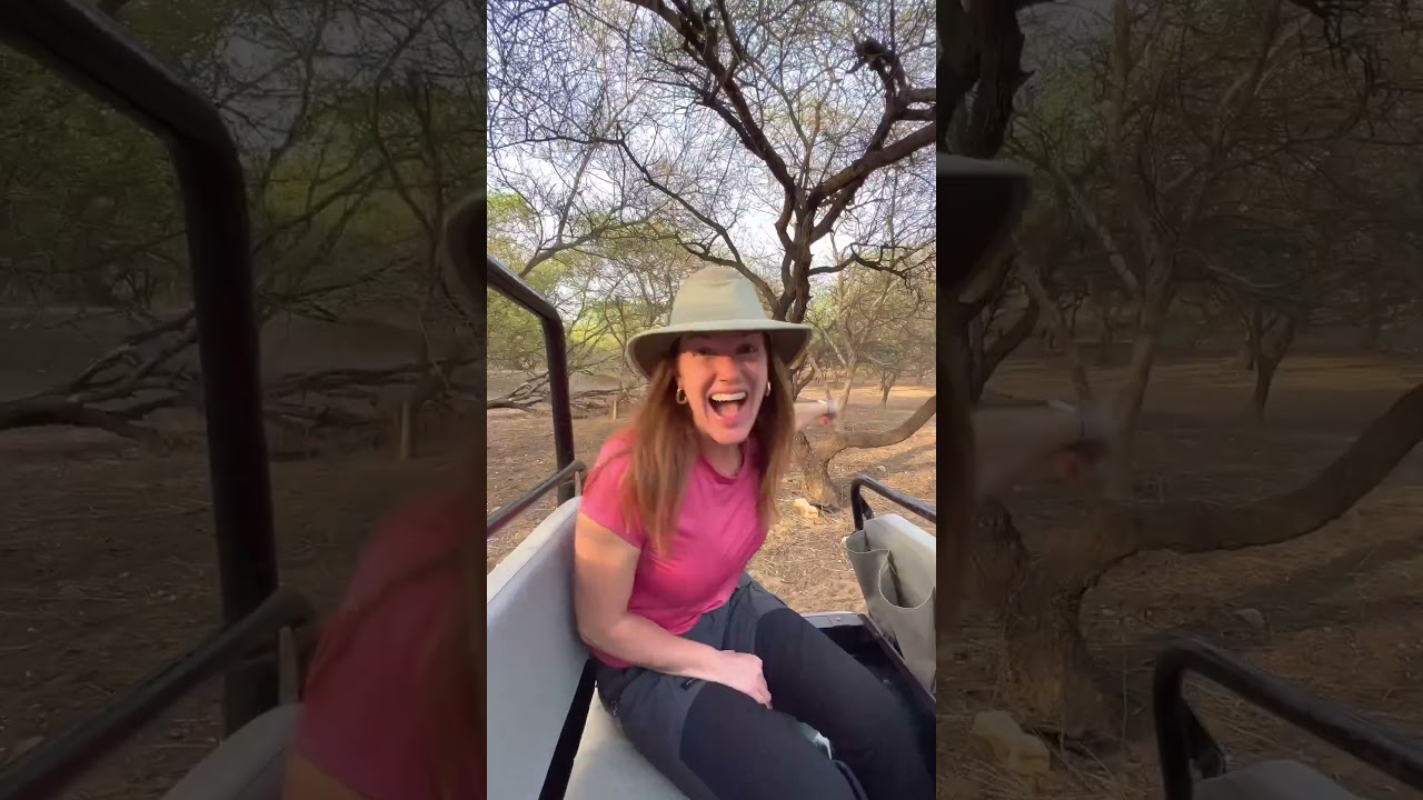 A glimpse to my Leopard safari experience in Jhalana #jaipur