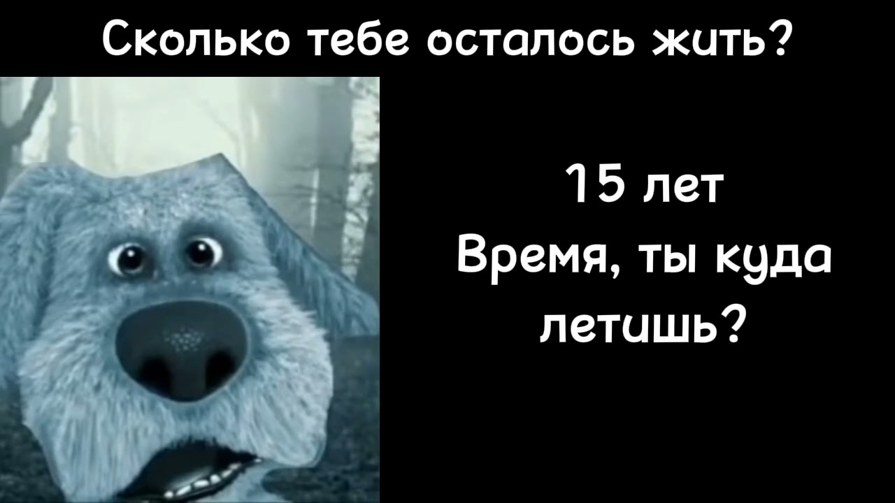 Сколько тебе осталось жить? Грустные дица Бена 47 фаз