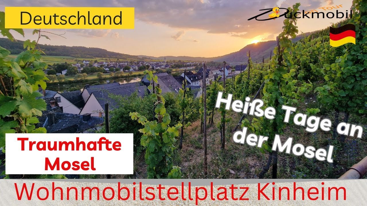 Wohnmobilstellplatz Kinheim an der Mosel ☆ tropische Hitze ☆ Bernkastel Kues ☆ Traben-Trarbach ☆