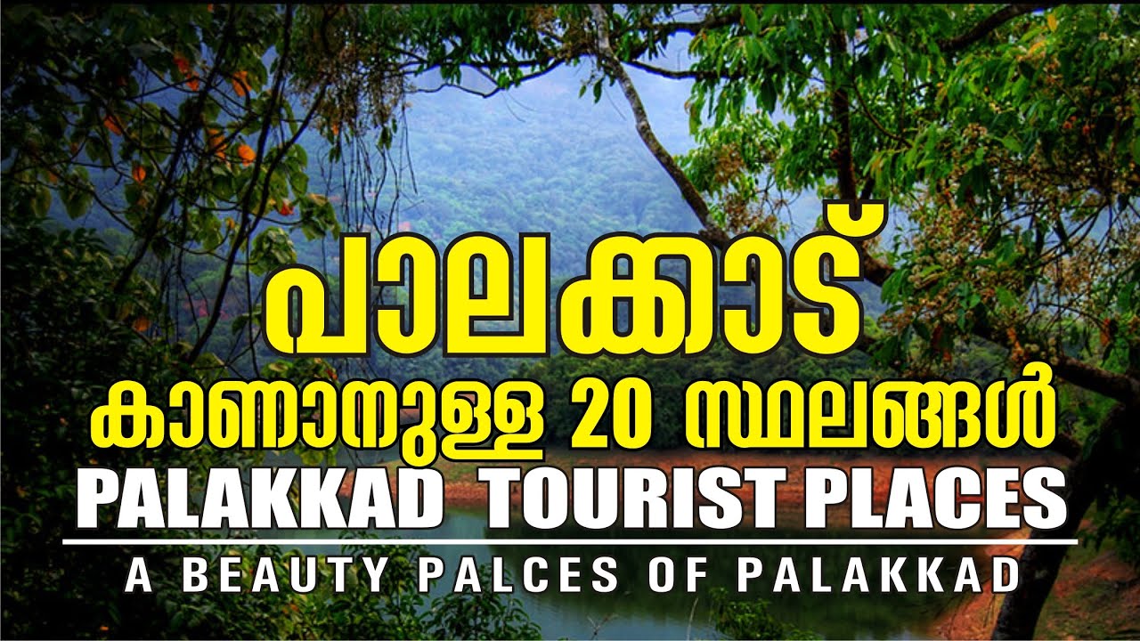 പാലക്കാട്‌ കാണാനുള്ള 20 സ്ഥലങ്ങൾ | PALAKKAD TOURIST PLACES | PALAKKAD | TOURIST PLACE IN PALAKKAD