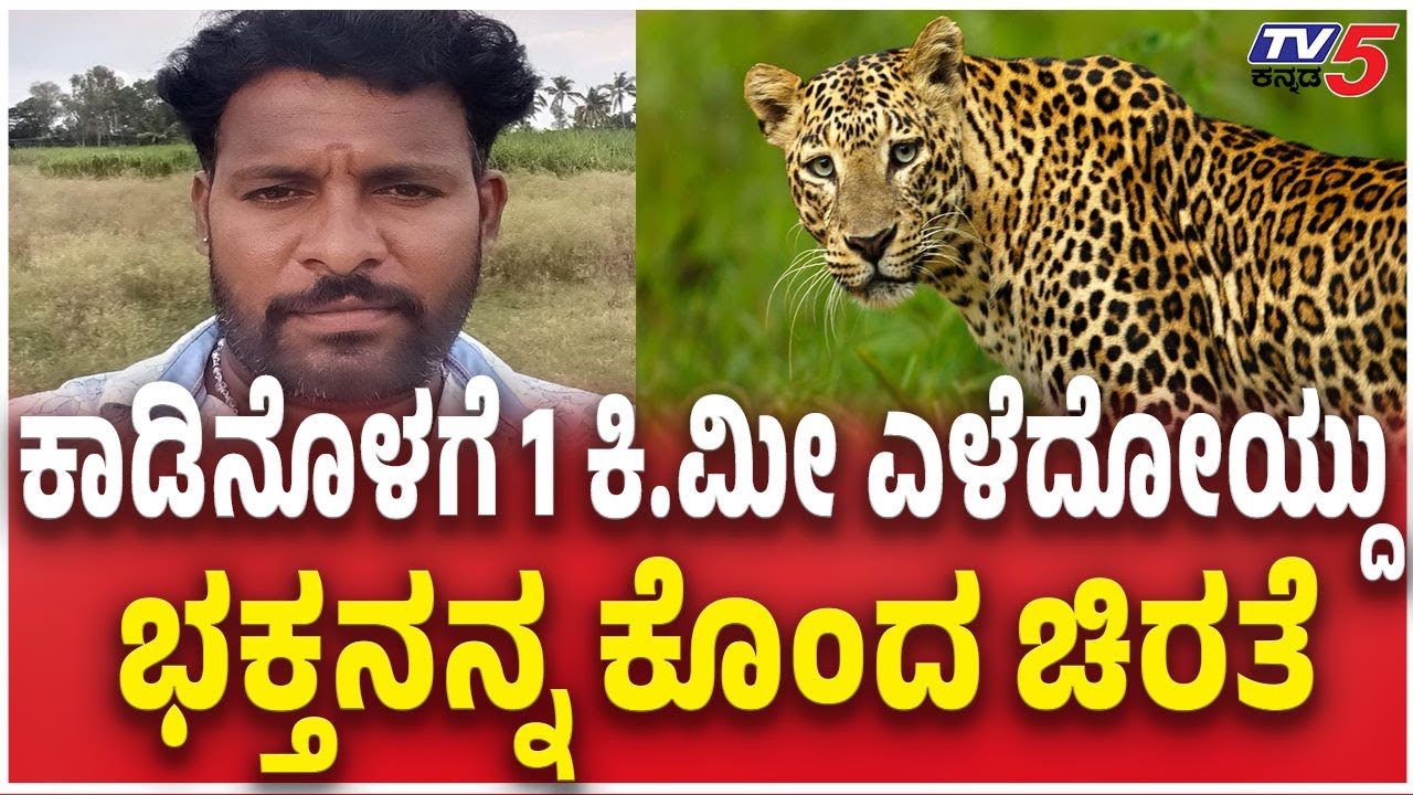 Leopard Killed Pilgrim At Mahadeshwar hills |  ಕಾಡಿನೊಳಗೆ 1 ಕಿ.ಮೀ ಎಳೆದೋಯ್ದು ಭಕ್ತನನ್ನ ಕೊಂದ ಚಿರತೆ
