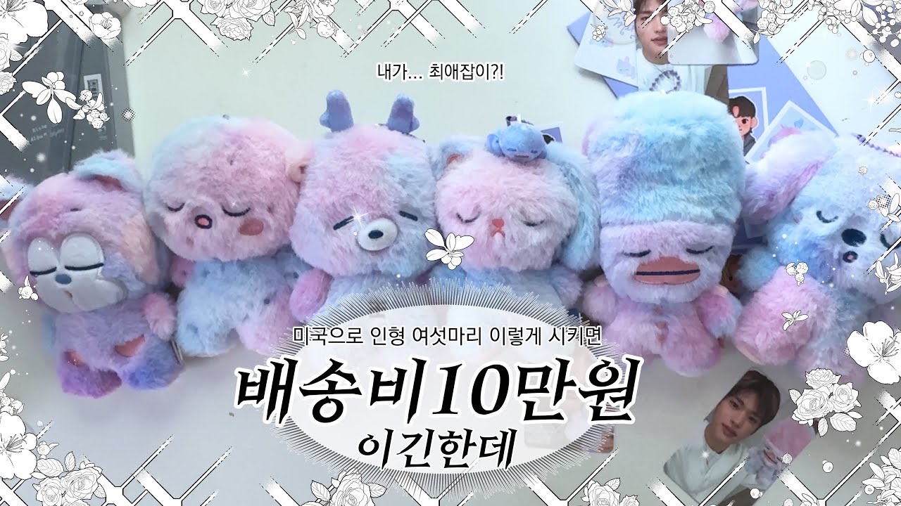 라이즈 정규 1집 오디세이 미드나잇 미라지 ver.B 위버스샵 6마리 인형깡 앨범깡 우락밤 토냥덕 | sun love 썬러브 | 브리즈 브이로그 BRIIZE vlog | 숑프 삔프