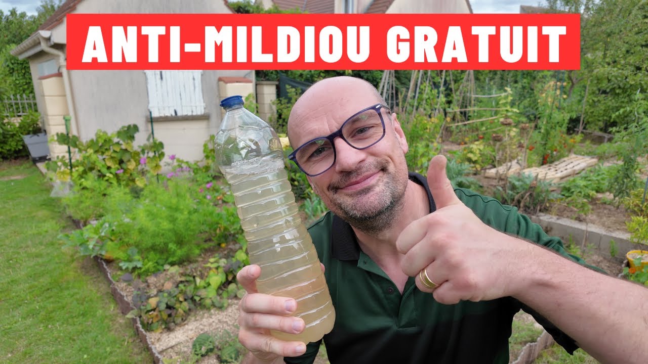 Mildiou et Oïdium : Le Traitement Gratuit et Naturel qui Marche !