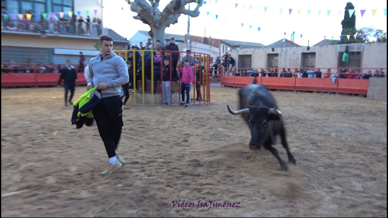 Grisén (Zaragoza) - Suelta de reses - 09/11/2025 - Tarde - HD