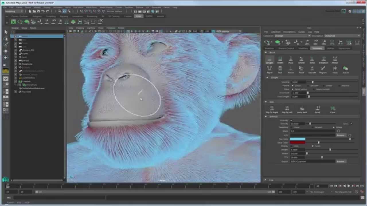 Expert over the shoulder: Grooming chimpanzee fur with XGen - Part 1