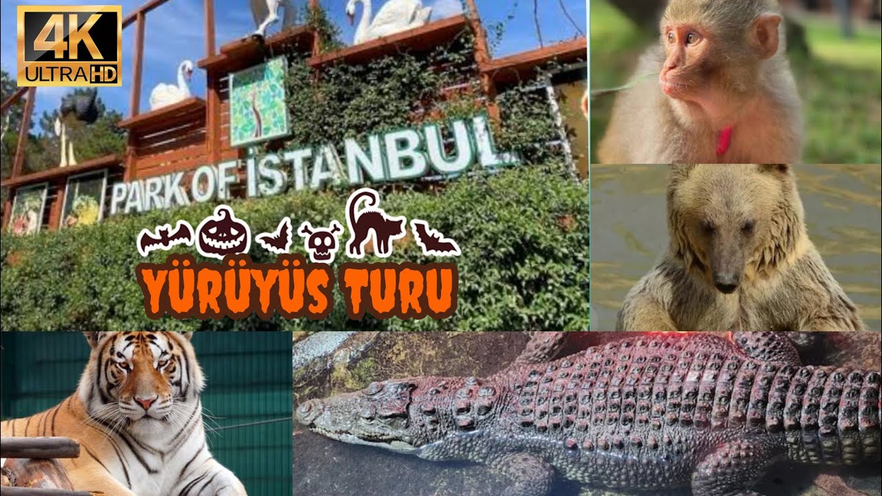 Park Of İstanbul Çekmeköy Hayvanat Bahçesi Yürüyüş Turu- Walking Tour Park Of İstanbul Çekmeköy