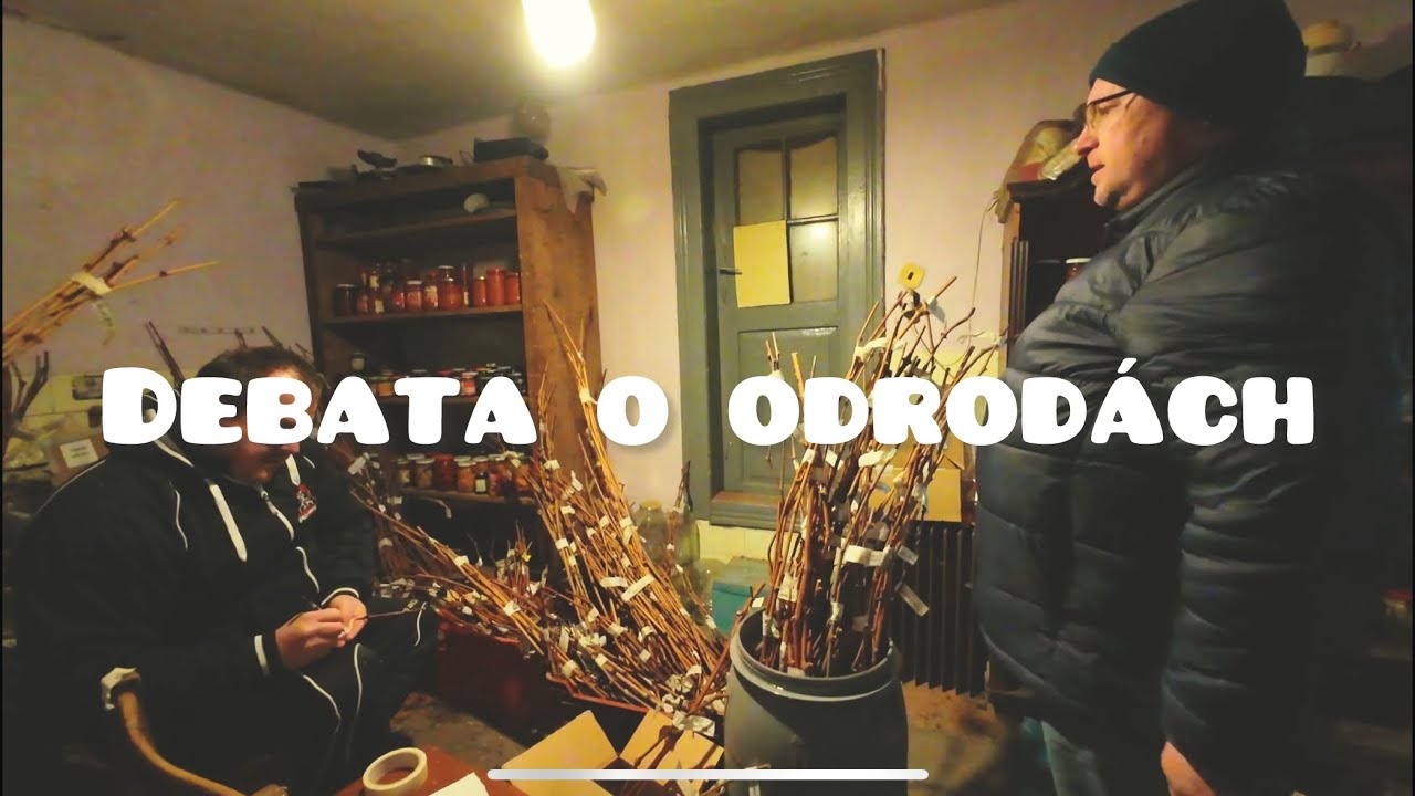 Návšteva Janka Obročníka a debata o odrodách s Peťom Barisom