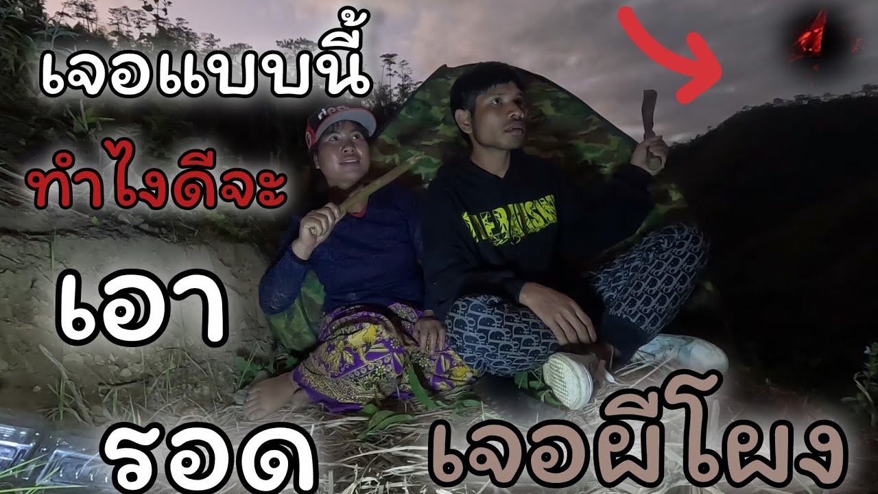 31มกราคม ค.ศ. 2026นอนป่าไก้ลป่าช้าคนตายหูงเจอแบบนี้เอาตัวรอดไม่