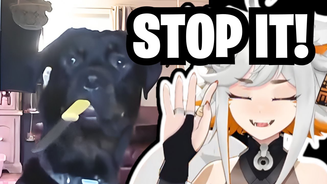 Deme Reacts to HILARIOUS Memes by Daily Dose of Internet V2