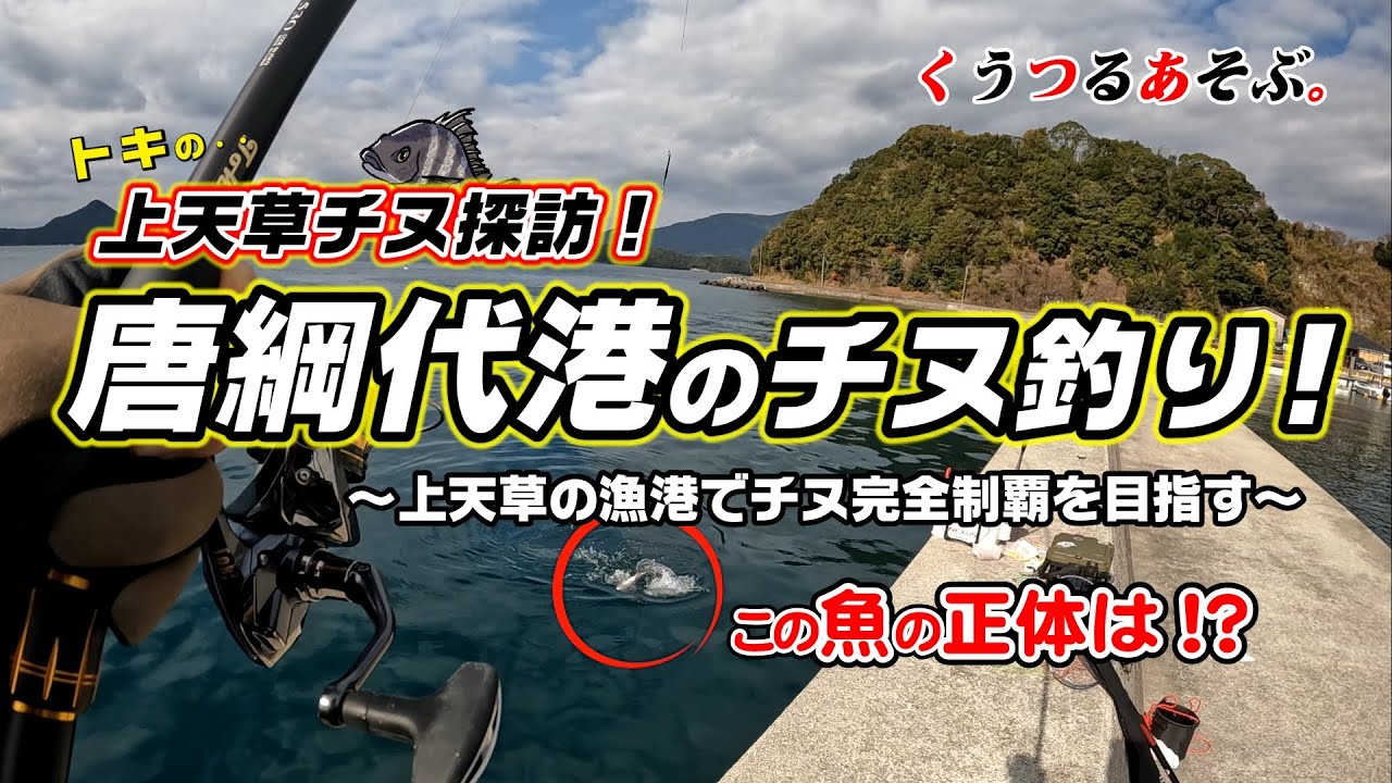 【上天草龍ヶ岳唐綱代港のチヌ釣り】合計3日間の激闘でチヌ含めて良型の魚多数GET！最後に釣った一番デカい魚の正体は！？#天草釣り #熊本釣り #チヌ釣り
