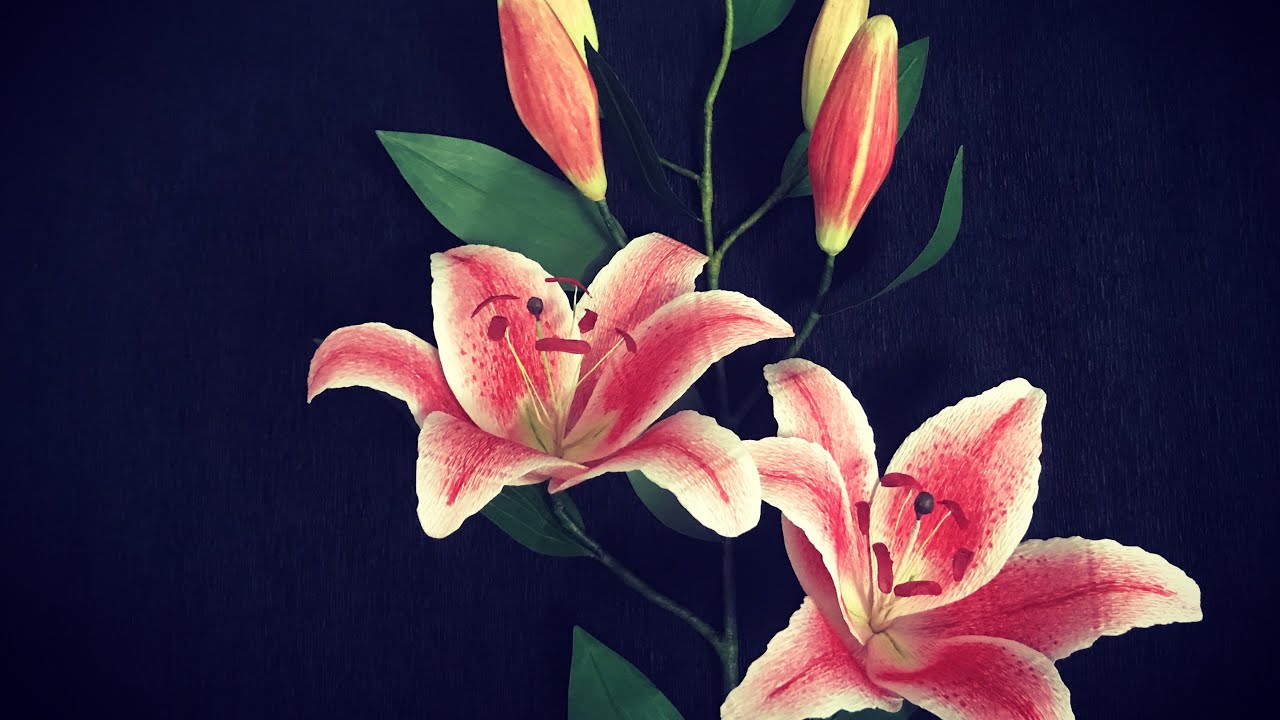 Bella’s Craft/ How to make Lily flowers by crepe paper/ Hướng dẫn làm hoa ly bằng giấy nhún