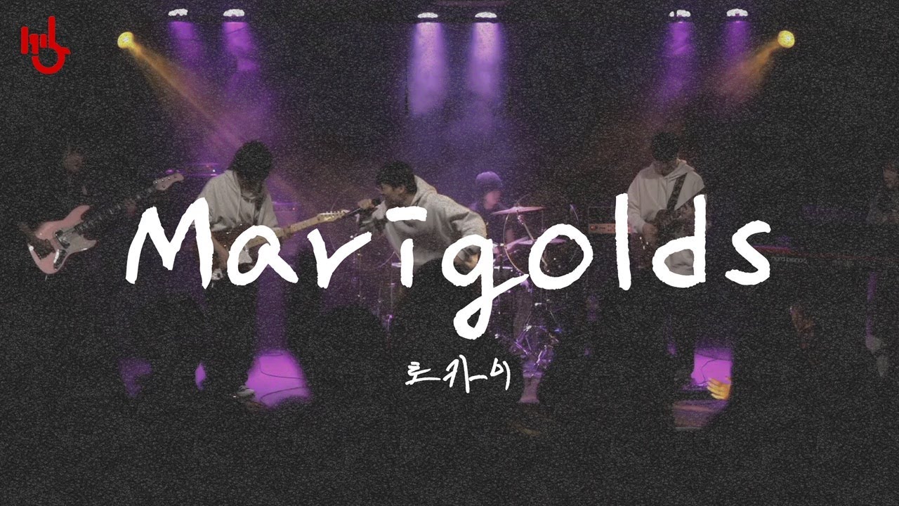 [PULSE (260119)] Marigolds - Tokai | cover by 고려대학교 중앙락밴드 1905