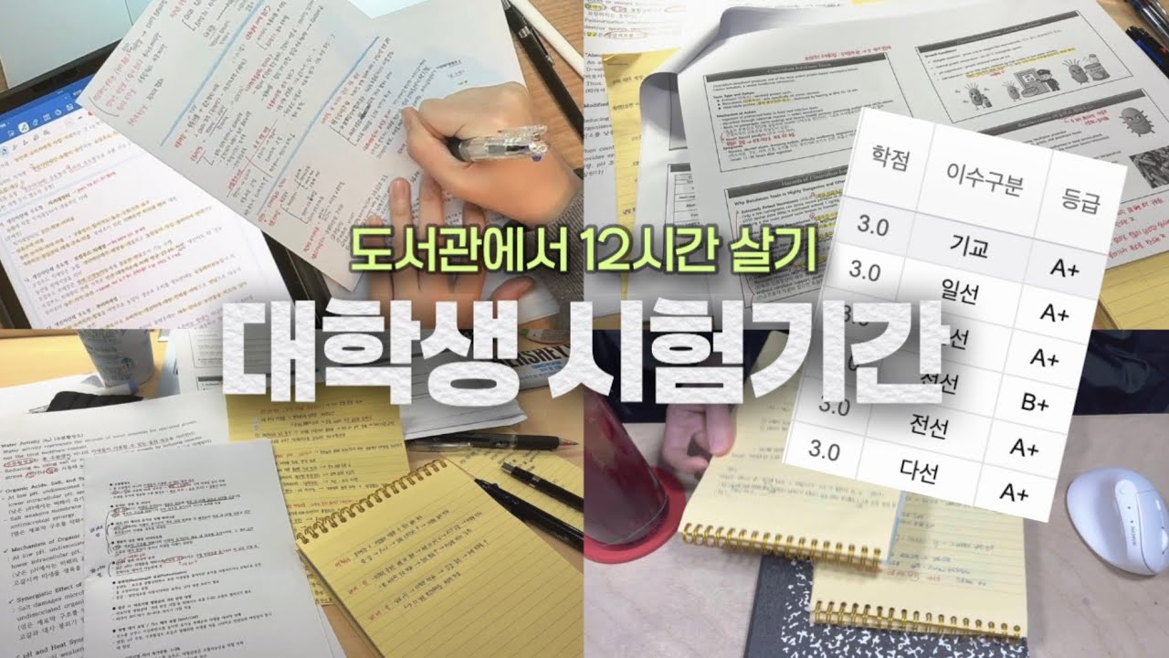 공부 브이로그ㅣ대학생 시험기간에 도서관에서 12시간 살기