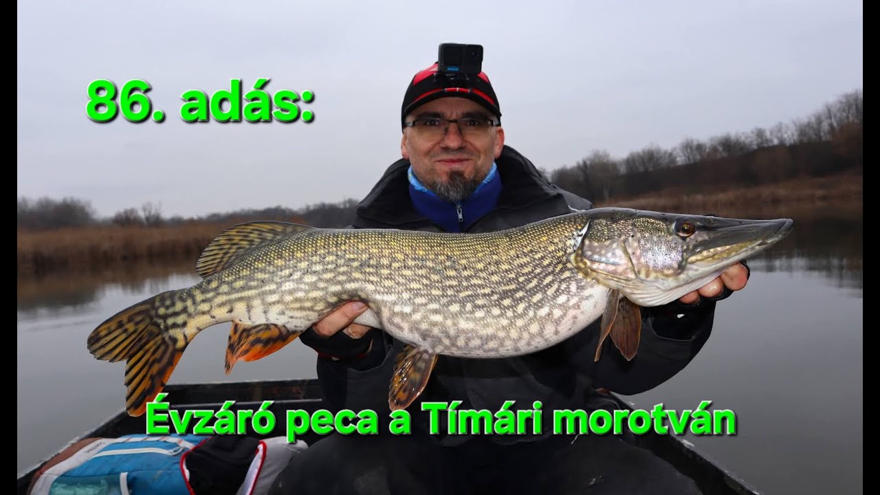 Pergetés Szalai Gáborral - 86. adás: Évzáró peca a Tímári morotván